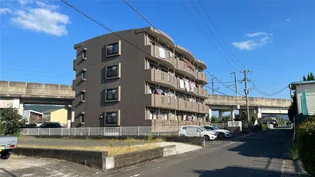 グランドパレス川内の画像