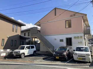 タートルテイルの画像