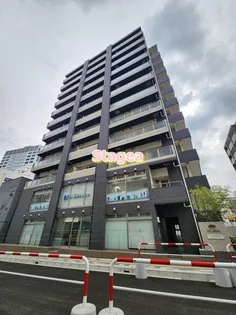 桜木-MSK【9階】の外観