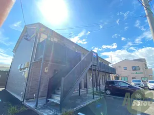 アムールカレクス ドゥトフの画像