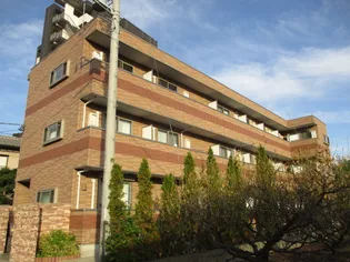 ドゥミエール ソフィアの画像