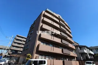 ウィルグレース八千代の画像