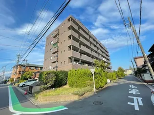 ラ シオン源氏の画像