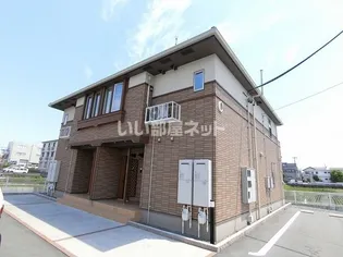 サン パインテイル Cの画像