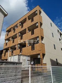 SUN EVERの画像