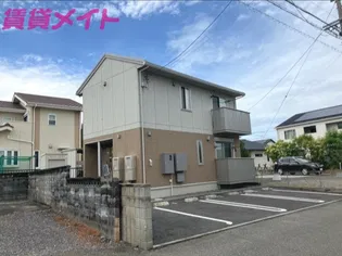 シャルマンMの画像