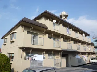 ジュネスオクラバの画像