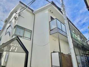 ルーミナスP1の画像