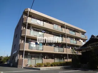 グラフィージュの画像