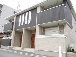 フィデールの画像