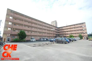 パステル80【5階】の外観