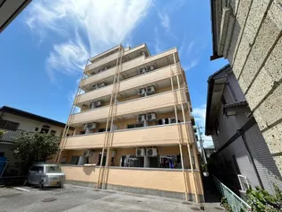 ヌーベルセザールの画像