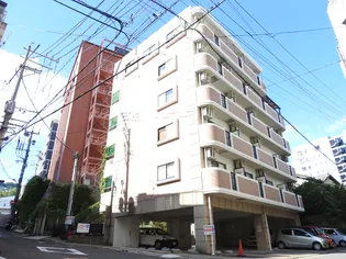 ブランドール大井手の画像