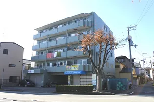 カサベルデイケダIIの画像