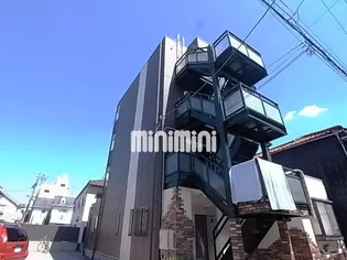 アムール杉栄の画像