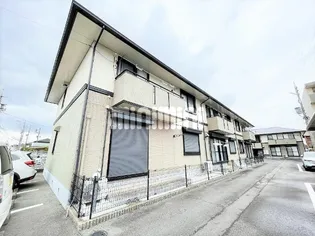ハイカムールジュン Bの画像
