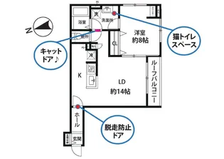 ヴュ ド フェリス【1階】の間取り