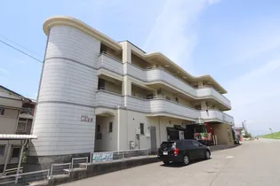 徳島県徳島市助任本町7【マンション】の外観