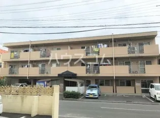 アムールチュラの画像
