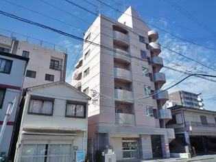 シティパレス南林寺の画像