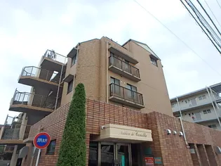 メゾン カメリアの画像