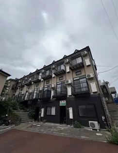 アイビーの画像