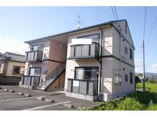 シャトルMの画像