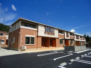 チェリーブロッサムドゥの画像