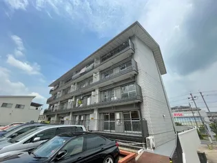 コーネルオオヤの画像