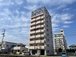 SAFARI新居浜の画像