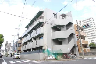 パステルクボ16の画像