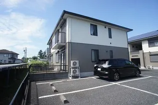 シャーバイオレットBの画像