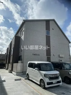TMグレイスの画像