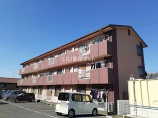 ラフィーネMAYUの画像