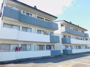 メゾン大平【3階】の外観