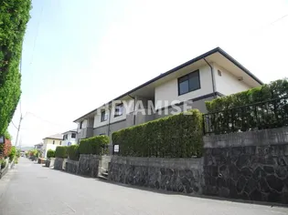 ハイカムール間瀬貝 Bの画像