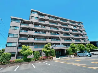 シャトレMの画像