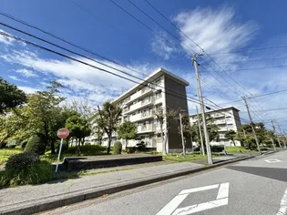 真砂一丁目団地の画像