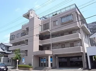 岐阜県岐阜市平和通2【マンション】の外観