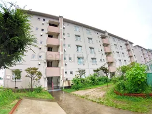 逆瀬川6号棟の画像