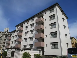 サンメゾン一ツ木の画像