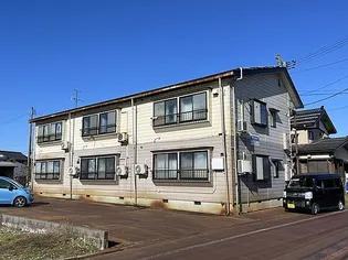 アムールNの画像