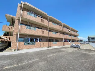 Y&Mサンライズマンションの画像