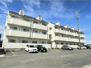 愛知県知多郡美浜町新栄2【マンション】の外観