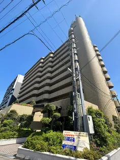 シャトーセレニティーの画像