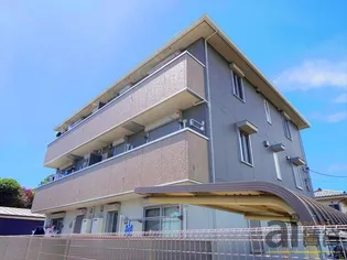 シェーン アネーロの画像