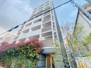 ファーストエフレシア姫里の画像