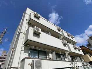 エクセルアサヒの画像