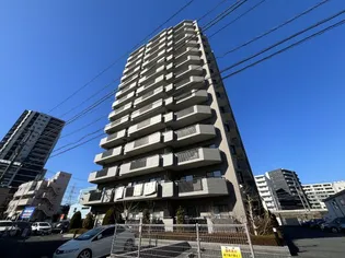 パウロニアビューコートの画像