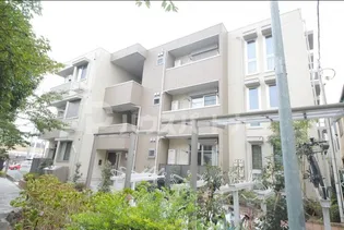 シーガルの画像